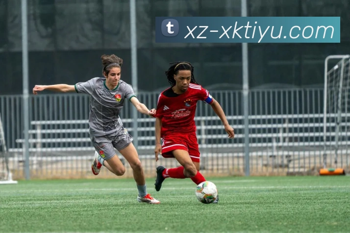 星空体育APP 封面图